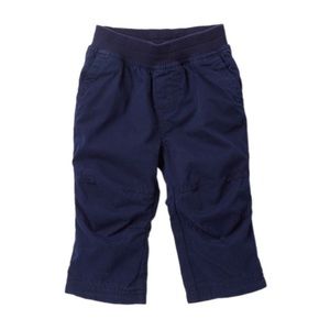 Tea Collection Lined Canvas Pants